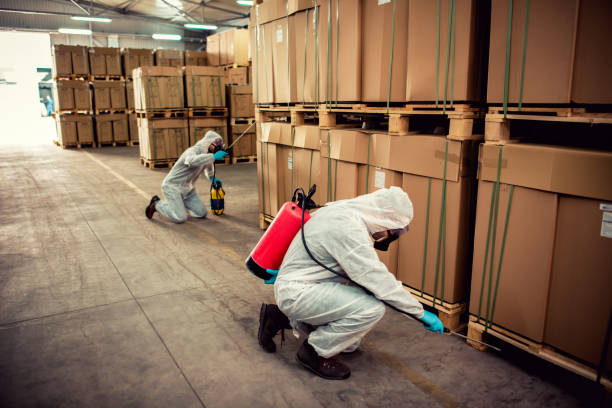 Best Rat Extermination Near Me  in Estancia, NM