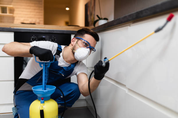 Best Cockroach Control Services  in Estancia, NM