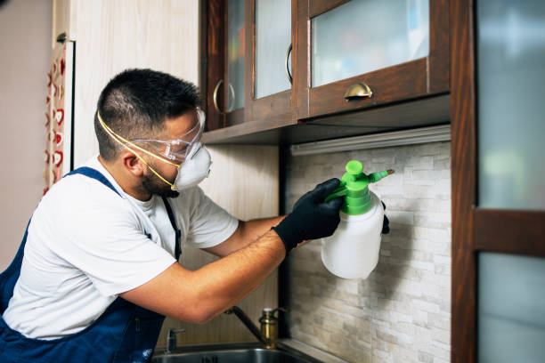 Best Pest Removal Services  in Estancia, NM