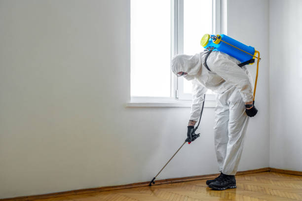 Best Pest Inspection Near Me  in Estancia, NM