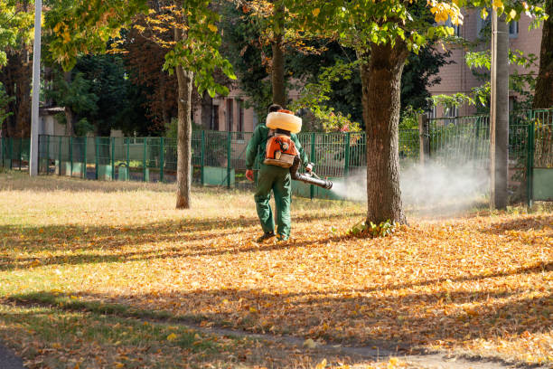 Best Affordable Pest Control Services  in Estancia, NM