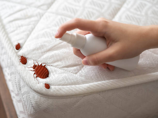 Best Commercial Pest Control Services  in Estancia, NM