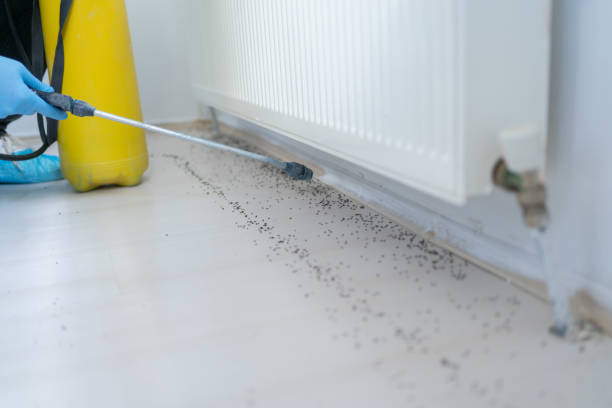 Best Wildlife Control Services  in Estancia, NM